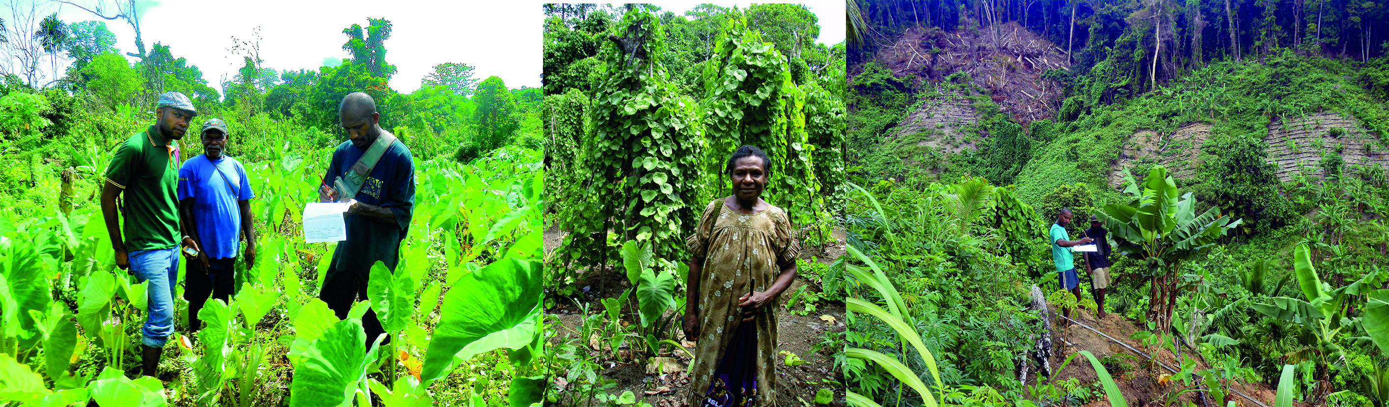 in the filed panel chamged