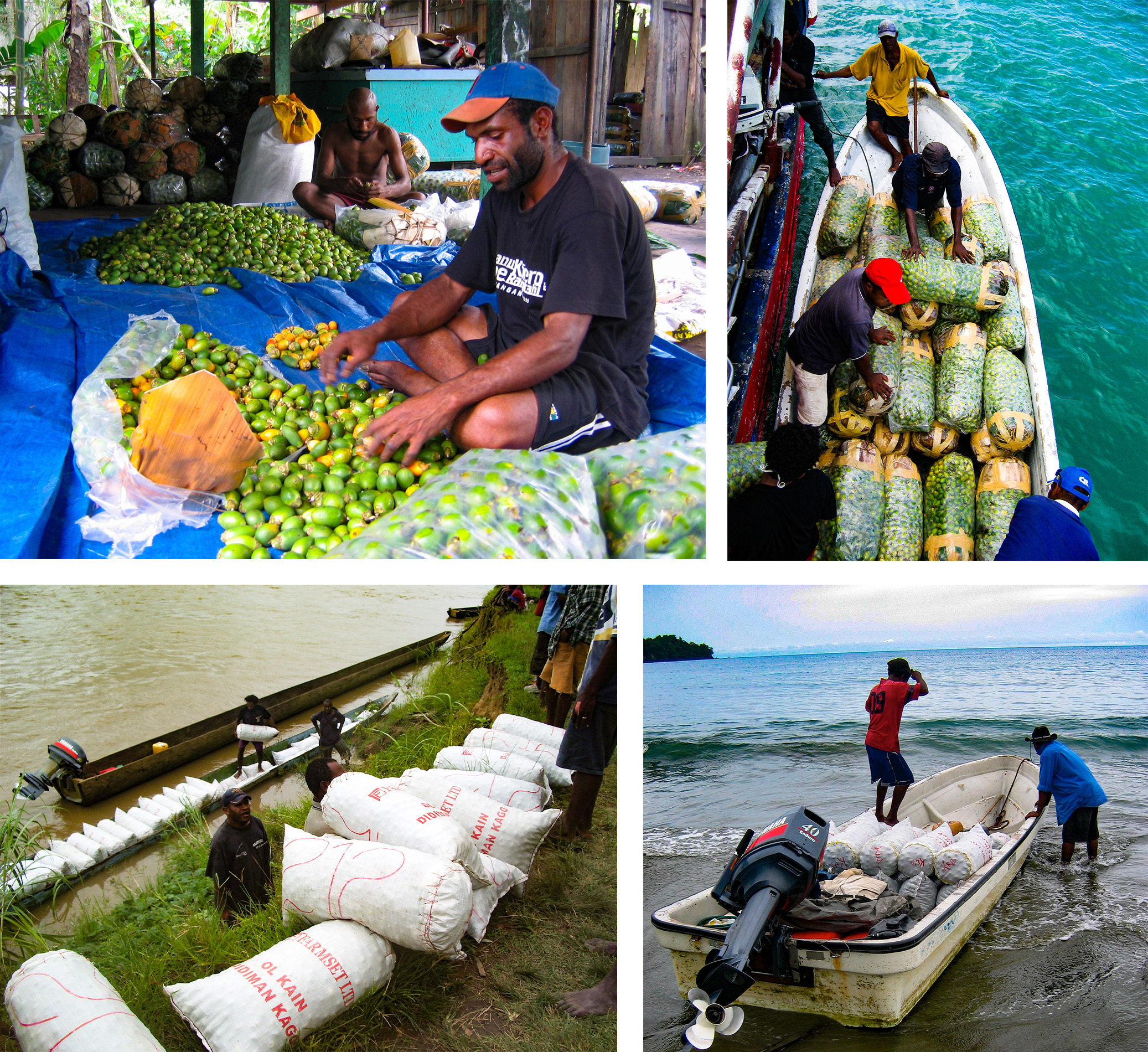 betel nut packing travel panel